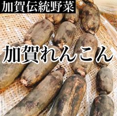 和歌山県産 たけのこ hiro53様専用 - メルカリ