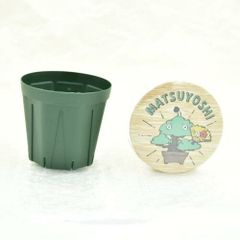 スリット鉢75mm 10個セット bonsai 盆栽道具