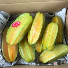沖縄県産 訳あり スターフルーツ 美ら星