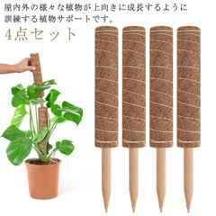 4点セット ココスティック モンステラ支柱 観葉植物 園芸支柱 植物支柱 ガーデニング用 花ささえ ココナッツ支柱 植物サポート トマト ポト