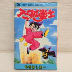 M0428F1 アニマル拳士 ANIMAL BOY アニマルボーイ 集英社 やぎはし正一