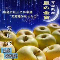 青森県産 星の金貨 りんご【B品3kg】【送料無料】【農家直送】リンゴ ふじ