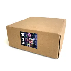 FGO トリック・オア・トリートメント　ナイチンゲール　ガレージキット 22O 1円～ 未組立 WF ナイチンゲール トリック オア