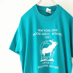 90s【fruit of the room】USA製 フルーツオブザルーム シングルステッチ  mooseプリント Tシャツ ブルー サイズL メンズ古着 レディース古着
