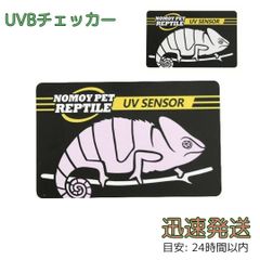 Item thumbnail for item 8c8f0acf-f7cd-4d9c-9d02-69746e0c704d