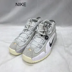使用感あり NIKE エアマックス　ペニー DX5801-001 AIRMAX　PENNY US:8.5UK:7.5BR:40EUR:42cm:26.5 グレー/ホワイト 26.5 メンズ 靴
