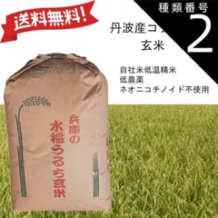 2025年最新】玄米 30Kg 令和6年の人気アイテム - メルカリ