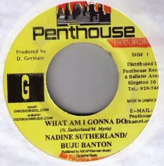 2025年最新】penthouse レコードの人気アイテム - メルカリ