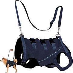 Item thumbnail for item dee9ec39-8bcd-406f-a542-10a71de71cf9