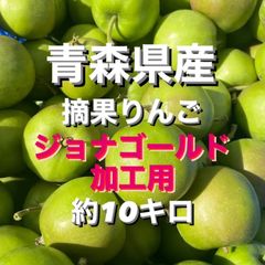 青森県産　摘果りんご　ジョナゴールド　加工用約10キロ