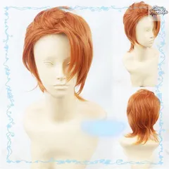 2025年最新】ズートピア+ウィッグの人気アイテム - メルカリ