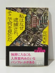私はなぜ逮捕され、そこで何を見たか。 (講談社文庫)　島村 英紀　(240527mt)