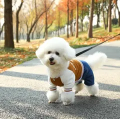 19 ドッグウェア つなぎ ロンパース スタジャン 小中型犬用服 ペット服 春夏秋冬服 犬用 服 ペット 衣装 アウトドア ジャンプスーツ お散歩 リード用Ｄカン付き ブラウン お出かけ