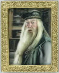 2025年最新】ダンブルドア カードの人気アイテム - メルカリ