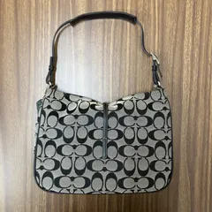 ◼︎ 超美品　COACH ワンショルダーバッグ アクセサリーポーチ シグネチャー　黒　ブラック　6091