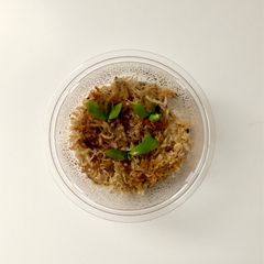 【特価！】胞子培養株 | P. 'Kirin' | キリン 幼苗