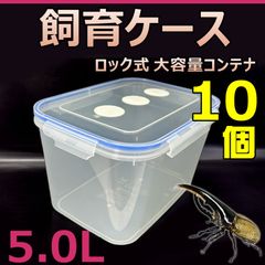 飼育ケース　ロック式　大容量コンテナ　5.0L　新品　10個　おまけ付　国産 外国産カブトムシ 幼虫飼育に最適　成虫一時管理にも最適