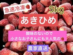 急速冷凍いちご　「章姫あきひめ」　いちご農家直送　5kg