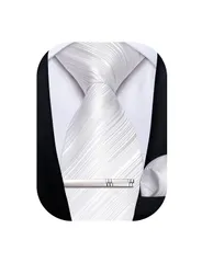 【人気商品】[DiBanGu] ネクタイ ストライプ ハンカチ タイピン セット 洗濯可能 入学式 ビジネス 二次会