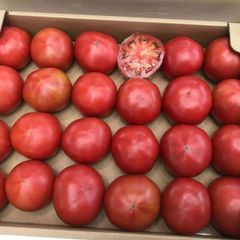 沖縄野菜　トマト　約4キロ　Tomato