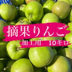 青森県産　摘果りんご　サンふじ　加工用　約10キロ！