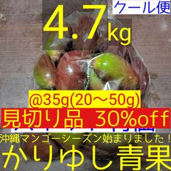 〈見切り品 30%off〉沖縄県産 摘果マンゴー/青マンゴー@35g(20〜50g)約4.7kg【クール便】①
