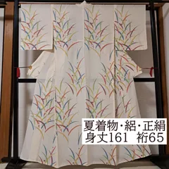 美品 児島廣和落款 夏着物 正絹 紗・薄物“パキッ☆夜のしじま