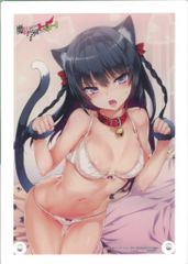 店舗特典 Hisasi 魔装学園H×H あみあみ PVC購入特典アクリルキャラクタープレート 姫川ハユル