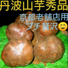 丹波特産山の芋　秀品3キロ（山芋)