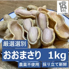 2025年最新】さや付き落花生の人気アイテム - メルカリ
