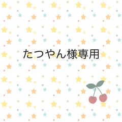 たつやん様専用