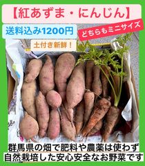 【ミニサイズ】なっちゃんの紅あずま・ニンジン