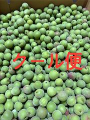 小梅 Sサイズ 箱込6.3キロ程度 福島県産
