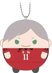 ハイキュー　灰羽リエーフ　にとたん　ぬいぐるみ　マスコット　音駒高校　値下げ不可 D灰羽リエーフ】ハイキュー!! ぷちぬいぐるみマスコットvol.2