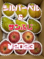 りんご♡山形県天童産♡サンふじ＆シルバーベル