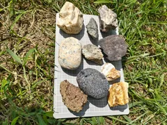 2025年最新】珪化木 北海道の人気アイテム - メルカリ