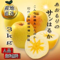 青森県産 はるか りんご【A品3kg】【送料無料】【農家直送】リンゴ サンふじ