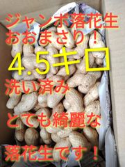 4kg 洗ってある◎ ゆで落花生おおまさりネオ - メルカリ