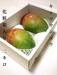 激安❣️ 沖縄県産 キーツマンゴー 化粧箱入り 2個