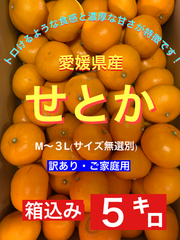 愛媛県産　せとか5キロ(訳あり・ご家庭用)