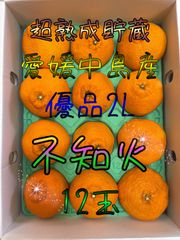 【超貯蔵熟成】　不知火　優品　12玉