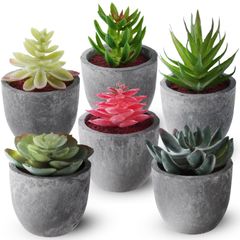 【人気商品】おしゃれ 観葉植物 観葉植物 観葉植物 観葉植物 インテリア インテリア雑貨 多肉 インテリアグリーン 卓上 ミニ フェイクグリーン フェイクグリーン 造花 グリーン 人工植物 多肉植物 植物 フェイク 6個セット JPSpiritus