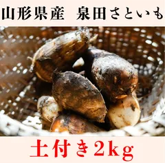 あきさん専用☆里芋(土垂) 約20kg 栃木県産 あきさん専用☆里芋(土垂) 約20kg 栃木県産