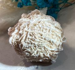 アルジェリア産【砂漠のバラ】円盤型 約10cm - メルカリ
