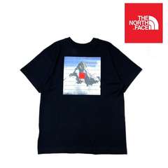 ノースフェイス 半袖 Tシャツ US限定 40周年 黒 180902