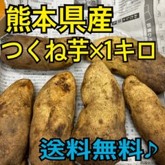 熊本県産　つくね芋　1キロ　希少品♪