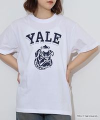 YALE イェール 半袖 College T-Shirt カレッジ Tシャツ 5.6oz ダブルステッチ メンズ レディース ロゴ アメカジ スポーツ ブルドック ブランド