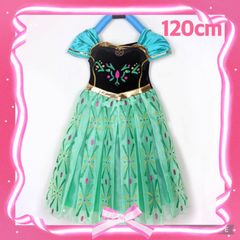 ディズニープリンセス　ドレス　アナ　サイズ120 cm (4点セット) 120 アナ ドレス プリンセス アナ雪 コスプレ ディズニー