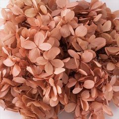 Item thumbnail for item c29608d5-db26-4836-b41d-5c7c97e74dd9