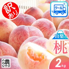 山梨県産　山梨の桃　18〜20玉　約5kg　クール便発送 2025年度予約販売】桃 約5kg 加工用 訳あり 送料無料 山梨 農家